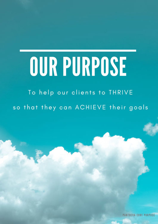 1-Our purpose
