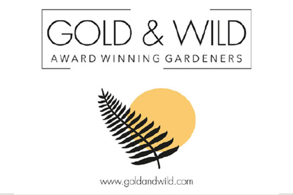 Gold & Wild