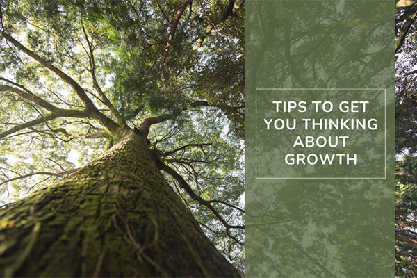 Have you got a plan for growth in your business?